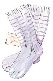 illustration of Ladder of Life socks